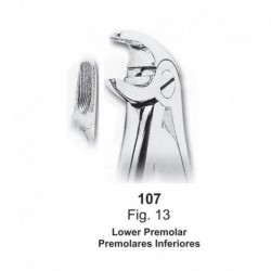 Forceps de extracción (Forma inglesa) Premolares Inferiores. Ref107