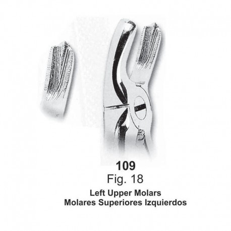 Forceps de extracción (Forma inglesa) Molares superiores izquierdos. Ref 109