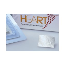 HEART Membrana Pericardio 15X20X0,2 MM (2 unid)